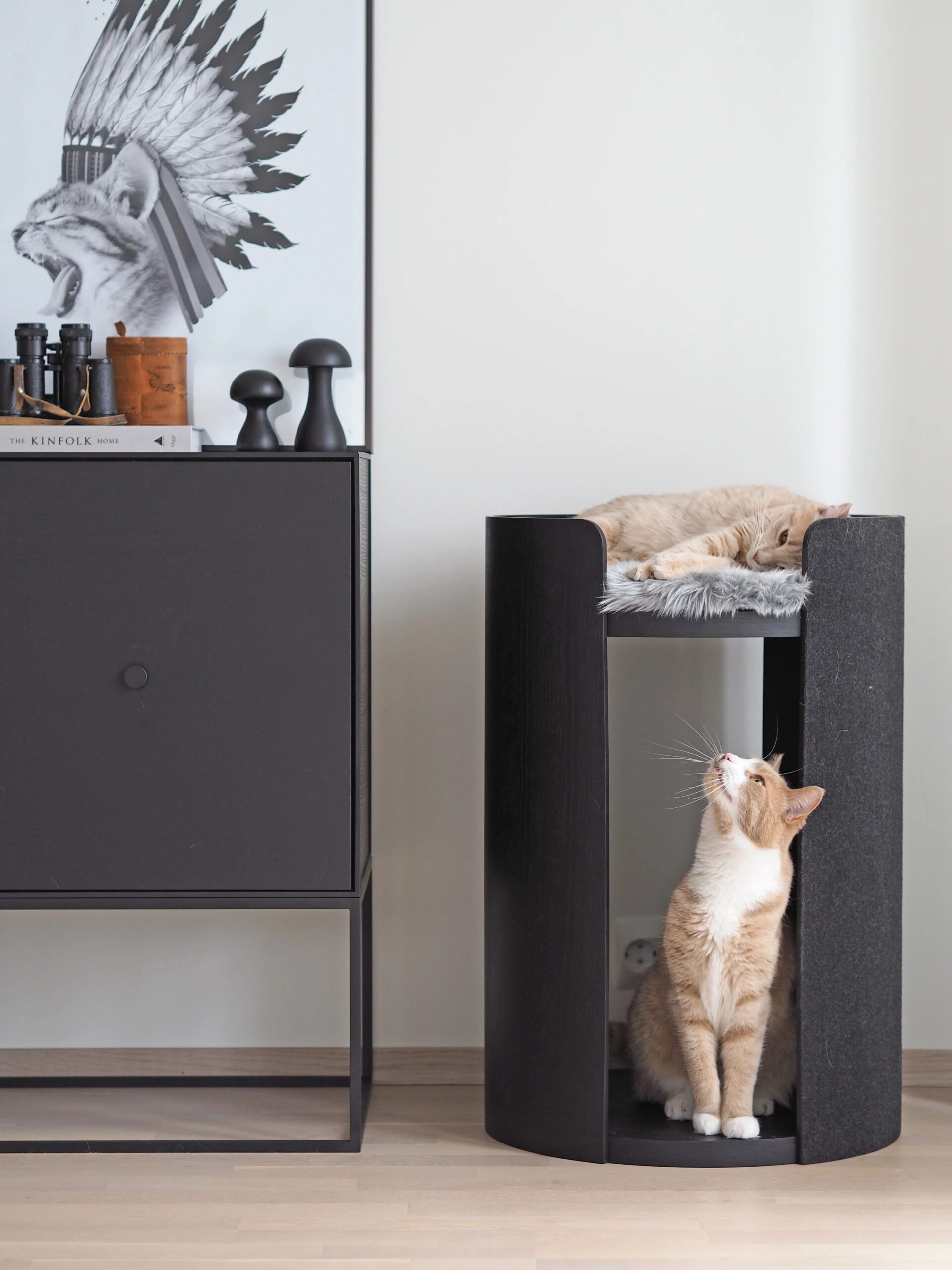 Cat resting on top of a dark modern cylindrical scratching post next to a black cabinet