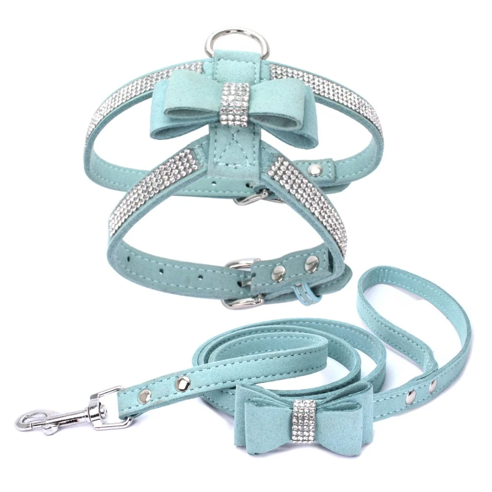 Dog wearing a suede leather harness and leash set